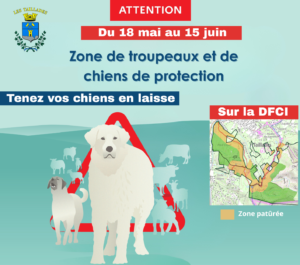 Actualités
